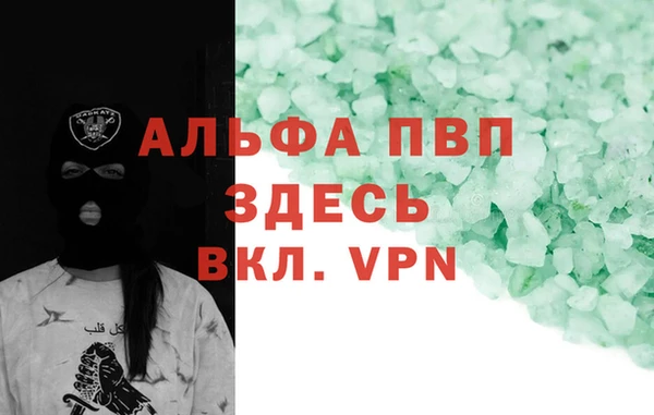 ECSTASY Ладушкин