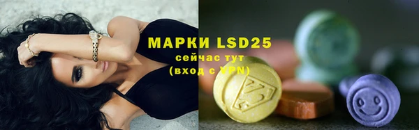 ECSTASY Ладушкин