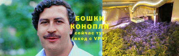 ECSTASY Ладушкин