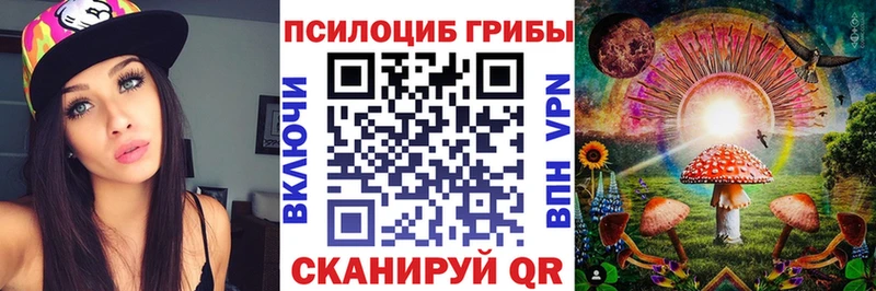Галлюциногенные грибы Psilocybe  магазин  наркотиков  Плавск 
